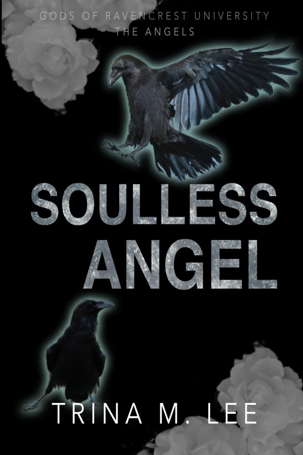 Soulless Angel: A Dark College Romance: (Gods of RU: The Angels): 6 (Gods of Ravencrest University)