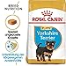 Royal Canin Yorkshire Terrier Puppy | 500 g | Trockenfutter für Yorkshire Terrier Welpen bis zum 10. Monat | Zur Unterstützung des Immunsystems | Für schönes Fell und gute Zähne