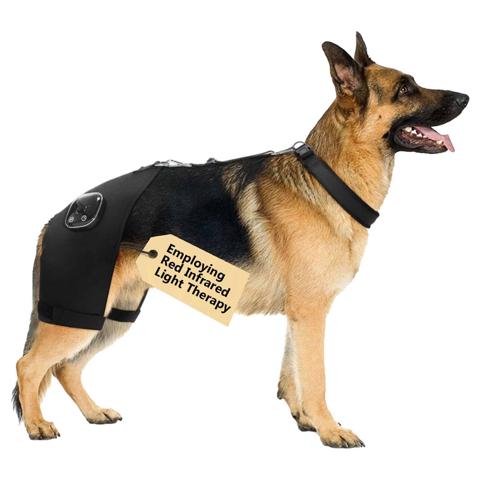 Photo 1 of HAGGEMI Dog Hip Brace with Red Infrared Light Therapy – Pain Relief for Arthritis, Hip Dysplasia, Spine Issues & Muscle Recovery, Portable & Cordless, Patent Pending(Male Dog, XXL)