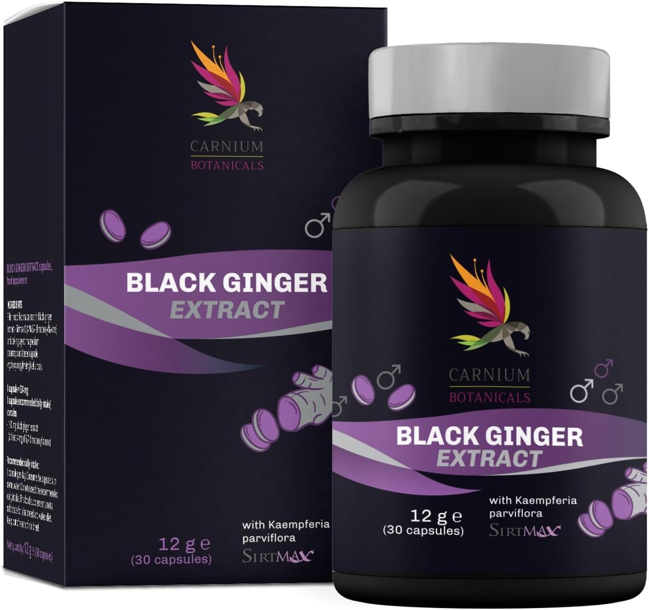 Carnium Botanicals Black Ginger Extract – Jengibre en capsulas de alta concentración – Gengibre Sin Gluten y Sin Lactosa – 30 cápsulas