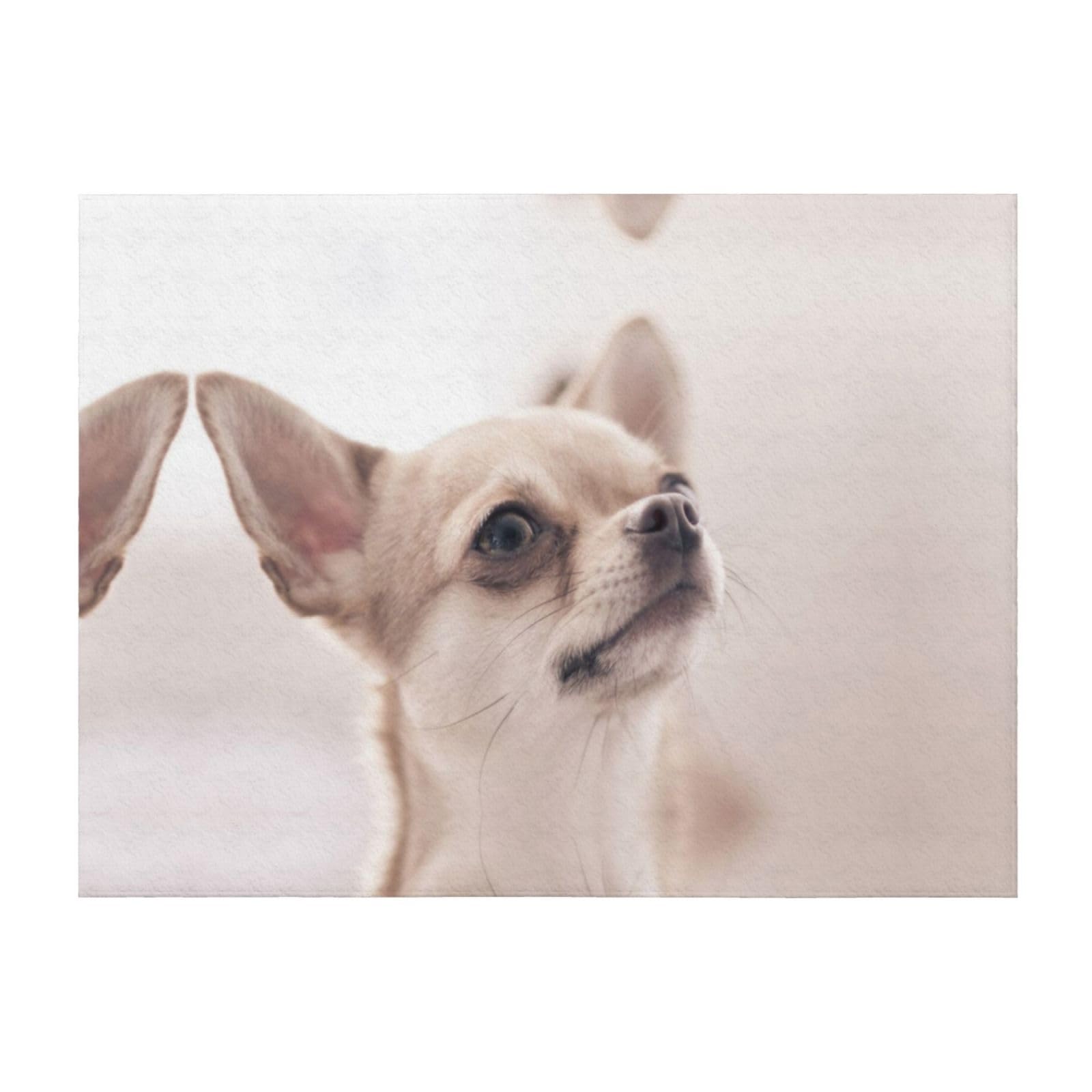 Changlei Black Cute Chihuahua Soft Throw Blanket Flannel Blanket,Personalised Print Warm Cozy Versatile Blanket(240G) For Bed Sofa