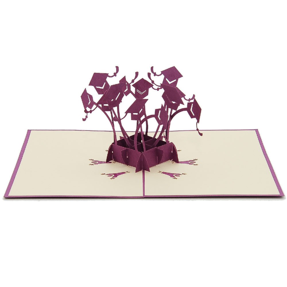 Favour Pop Up® - 3D greeting card A delicate work of art that unfolds as a variety of doctor's hats when opened TC001