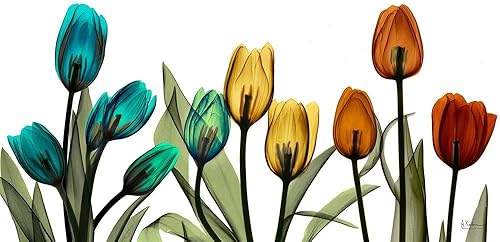 Posterazzi PDXAKXPL124BLARGE - Póster de Albert Koetsier de Tulipscape (36 x 18), multicolor