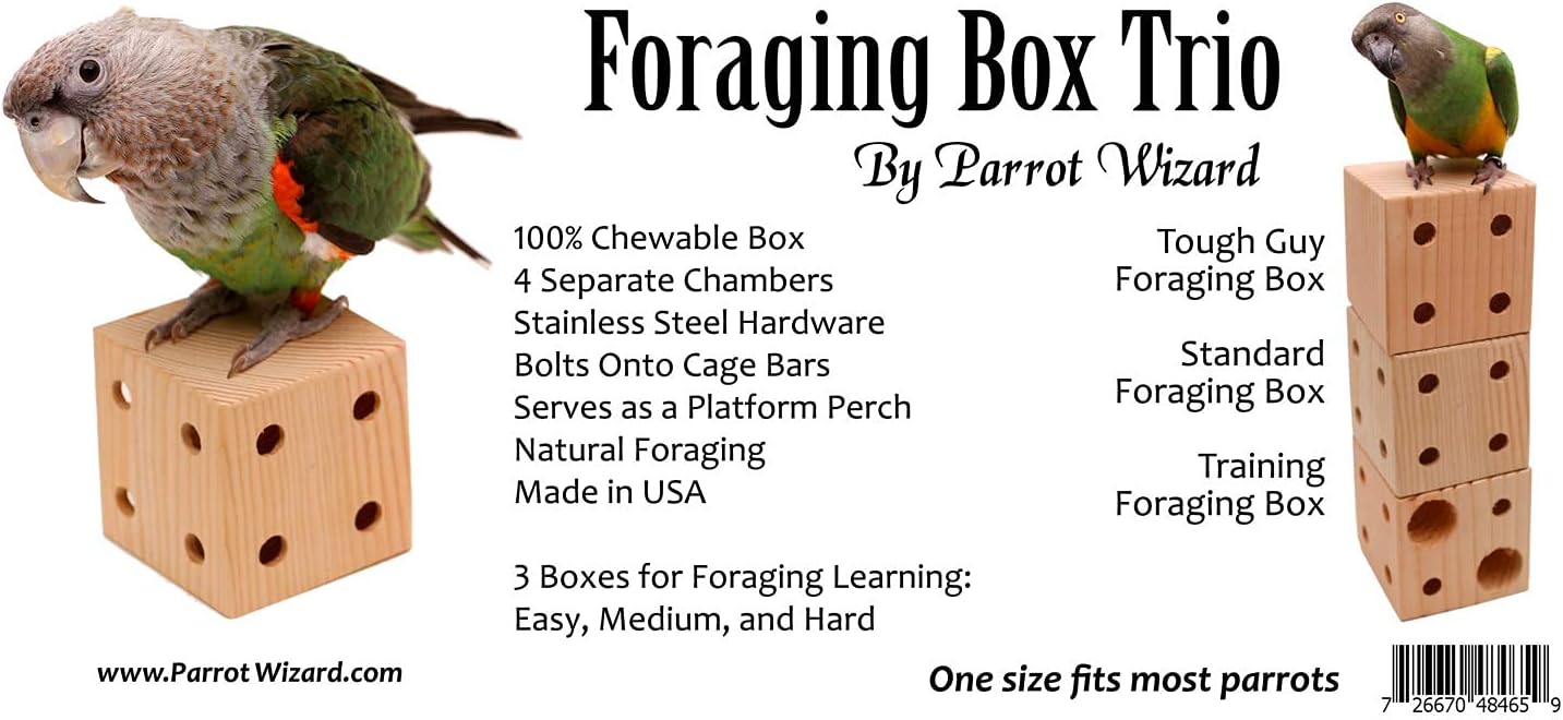Natural Foraging Box Toy for Parrots (Foraging Box Trio)