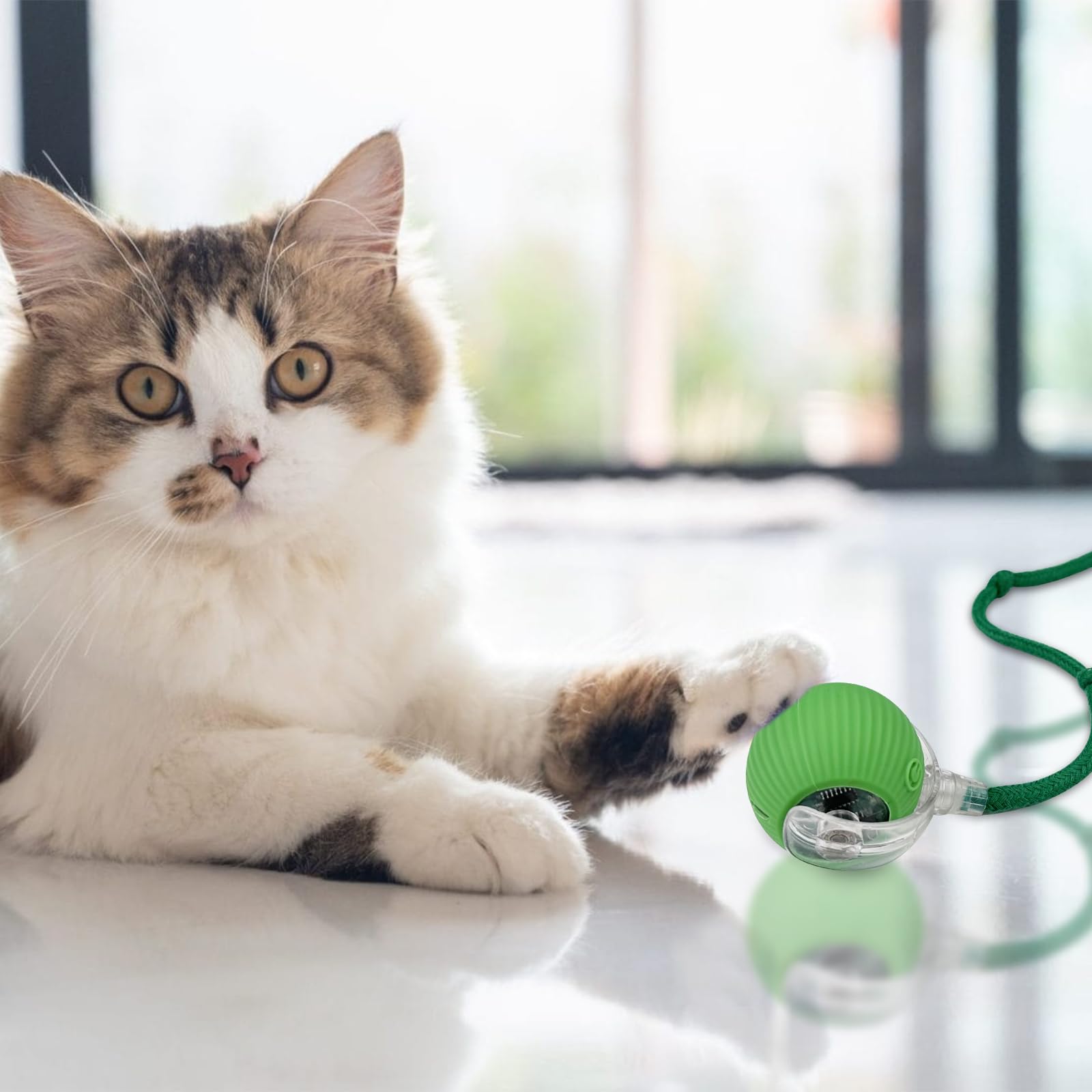 WinGlue 2 Piezas Juguete Interactivo para Gatos, Pelota Eléctrica, Cat Toy Ball, Interactiva Rolling Ball, Automático (Rojo+Verde)