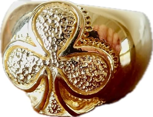 mwS[hMNV[N[o[bۃOxnhCh506b (22)