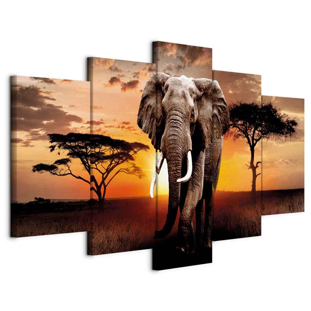 murando Cuadro en Lienzo Impresión de 5 Piezas Material Tejido no Tejido Impresión Artística Imagen Gráfica Decoracion de Pared