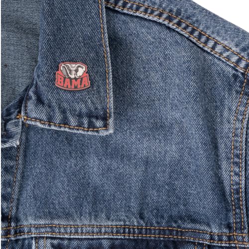 Image of Desert Cactus University of Alabama Magnetic Metal Lapel Pin (D)