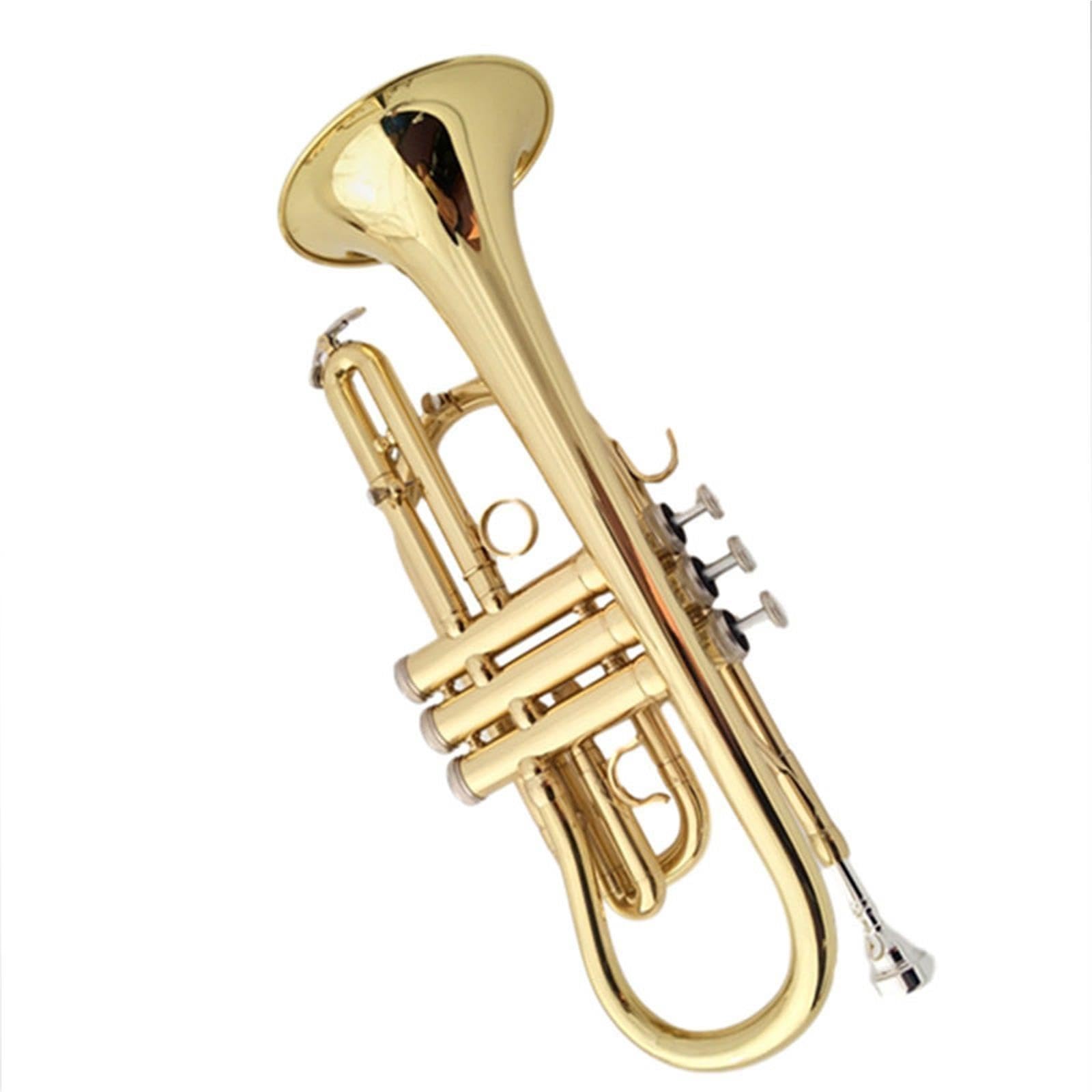 Professional Trumpet Trompeta en si bemol para principiantes