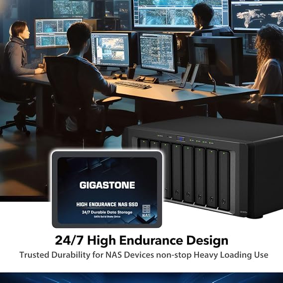 Gigastone NAS Certified 512GB High Endurance SSD Up to 550MB/s TLC Flash with SLC Caching 24/7 Reliable for Gaming/PC/NAS SSD 2.5 SATA Internal Solid State Drives RAID Disk