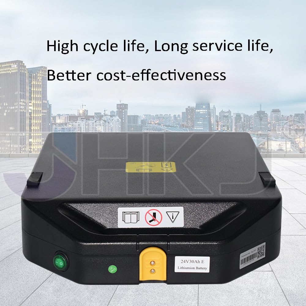 Batteria per Carrello elevatore Elettrico da 24 V 20 Ah 30 Ah 50 Ah, Pacco Batteria LiFePO4 da 24 Volt per transpallet Elettrico PTE15Q.