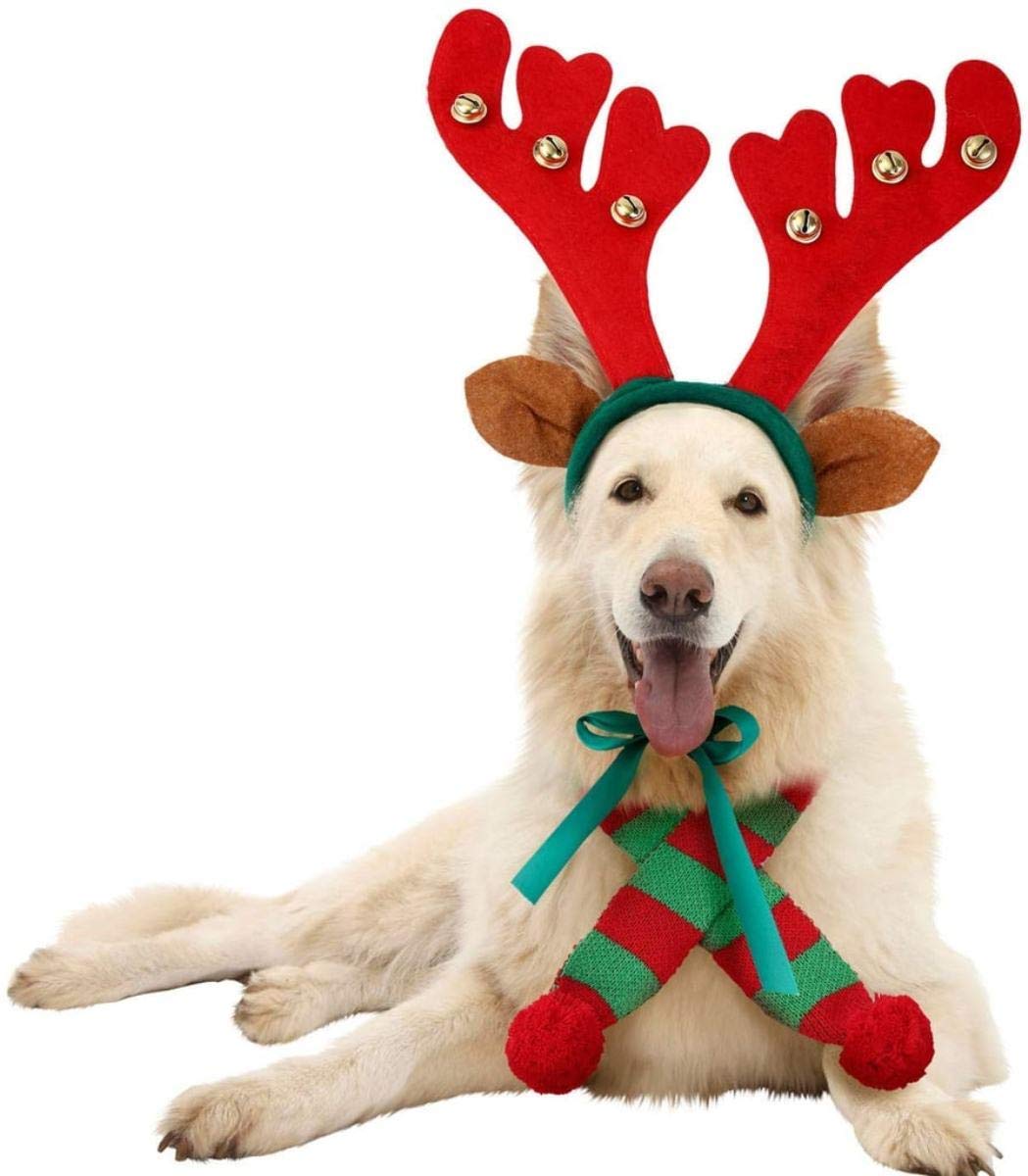 Infispace® Christmas Reindeer Antlers Headband with Bells for Pet Dogs and Cats (Red; Medium)- Pack of 1 (B082FQFD63) Amazon Price History, Amazon Price Tracker
