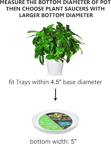 Miniatura 3 de ECOESPTI Platillo para plantas, paquete de 7 bandejas de plástico duradero de 5 pulgadas, platillos redondos blancos, bandeja de goteo para jardín