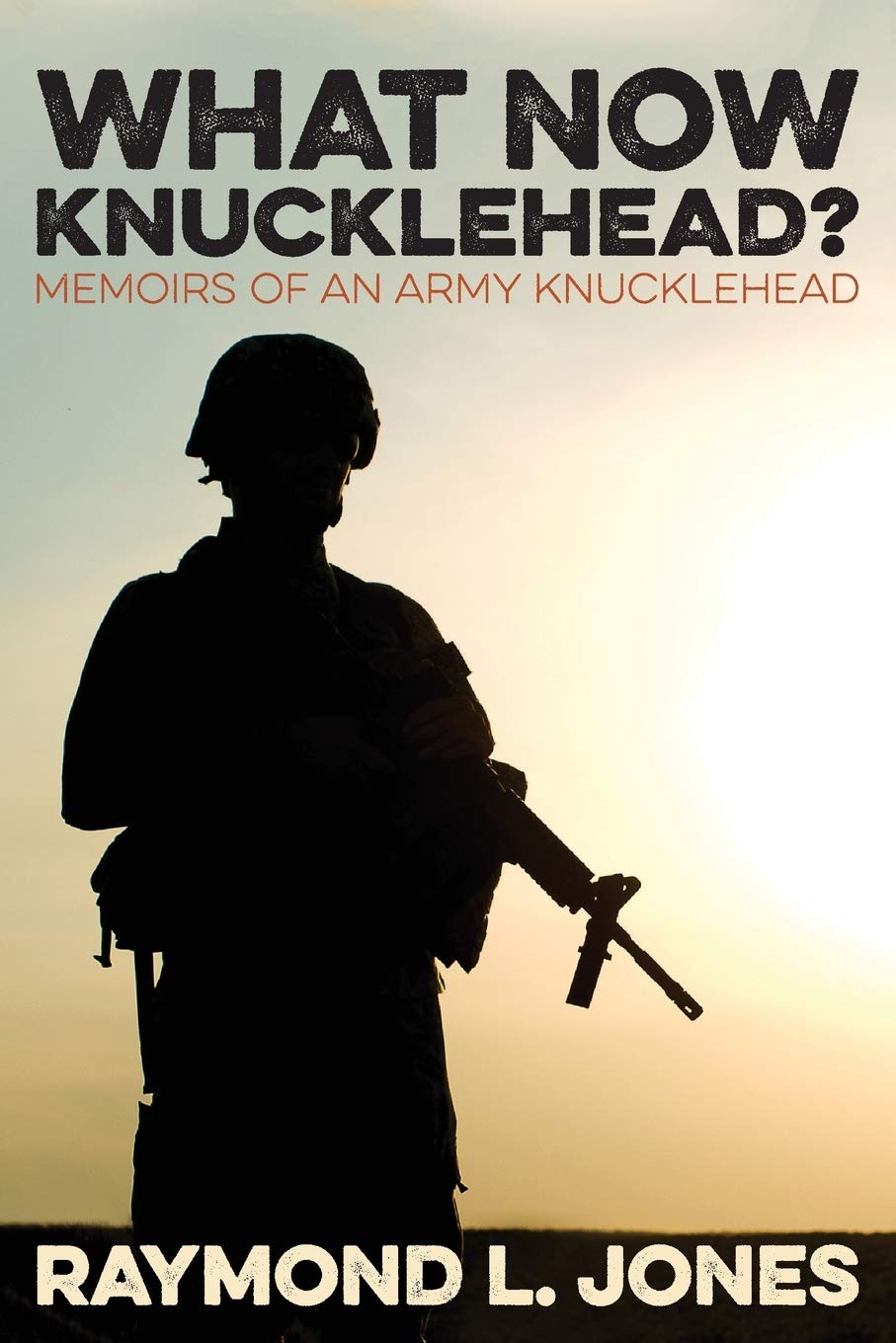 What Now, Knucklehead? Jones, Raymond L 9781941165492 Books