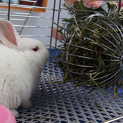 Heiqlay Hooivoederbal, hooirek bal konijn bal feeder roestvrij staal hooivoeder voedsel manger traktatie speelgoed voor… - Image 8