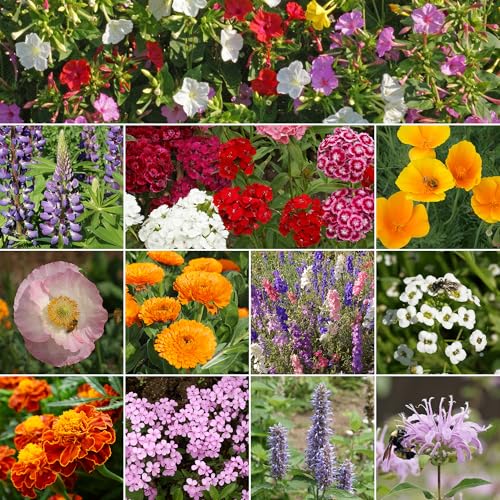 Image of Ferry-Morse Deer Resistant Seeds + Vitamin Solution, 1 lb + 4 oz
