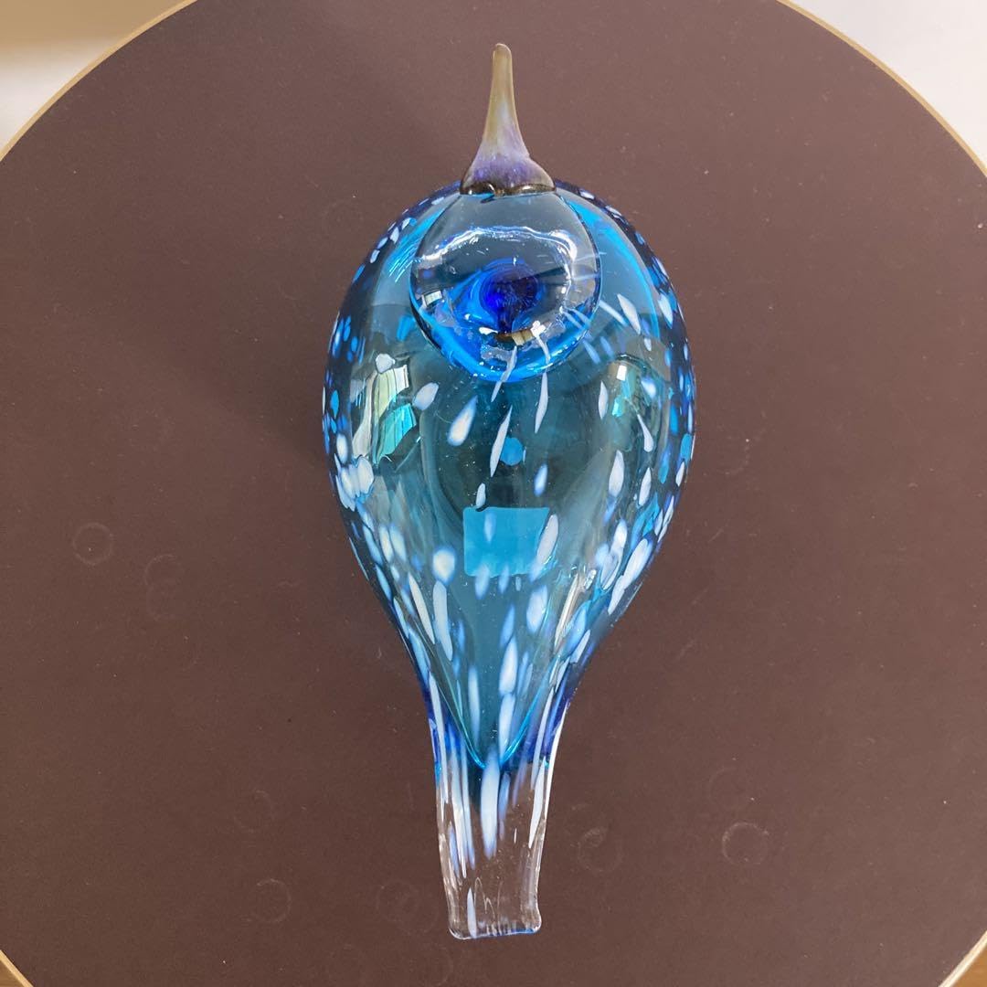 イッタラバードブルーフィンチblue finch ⑦