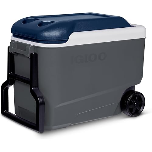 Igloo Maxcold 40 Roller (Ash Gry.Wht.Aegean Sea.Blk) 00034814, 38 Litre