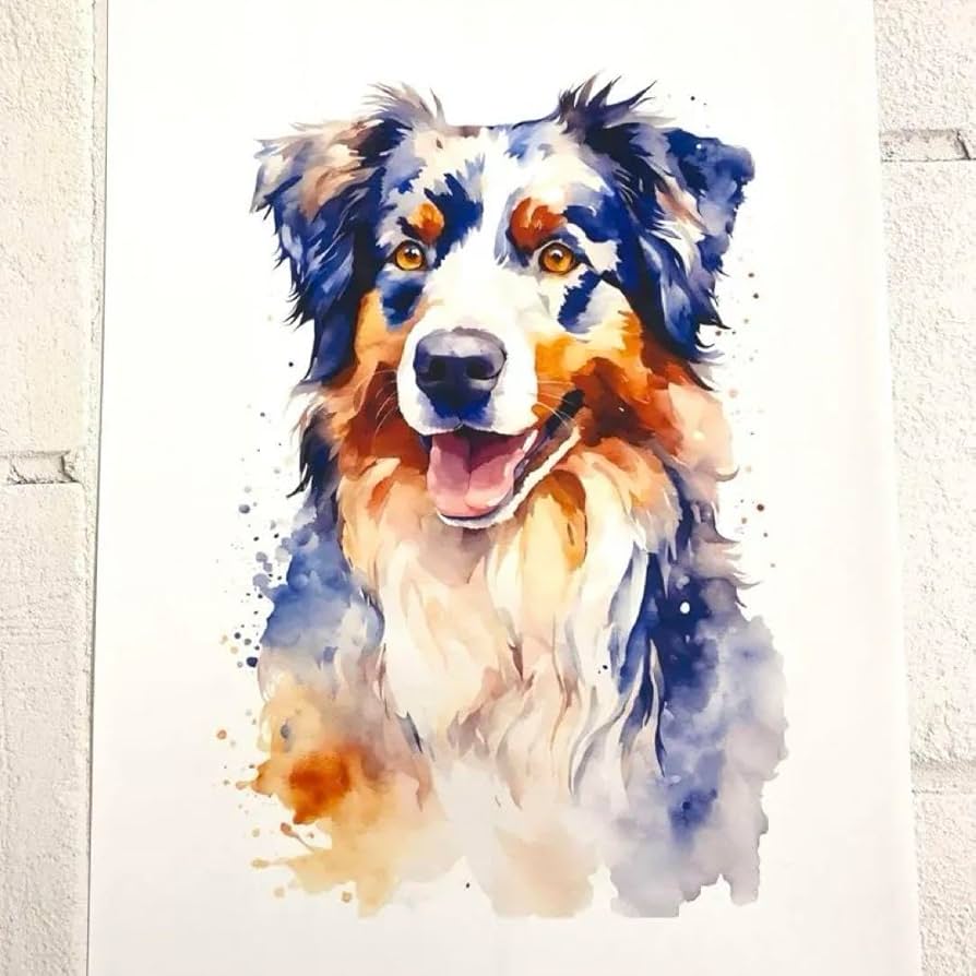 犬の絵画。珍品です。 Amazon.co.jp: 004 オーストラリアンシェパード 犬アート インテリア