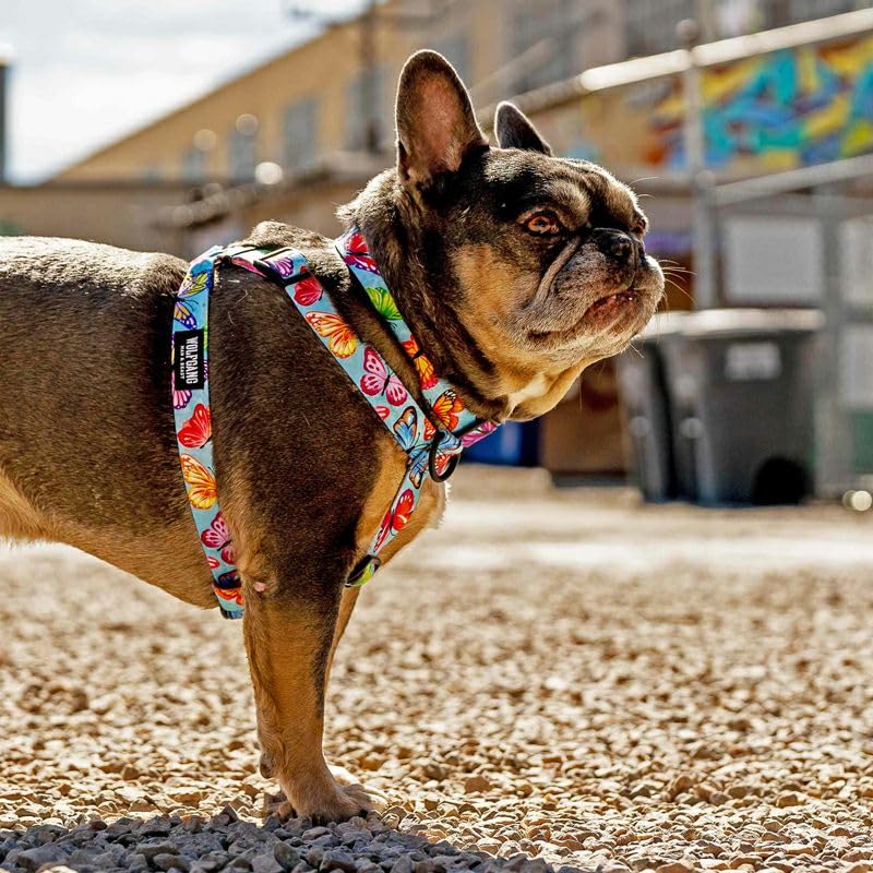 WOLFGANG/ウルフギャング FlutterColor Harness (L size) 巾2.5cm x