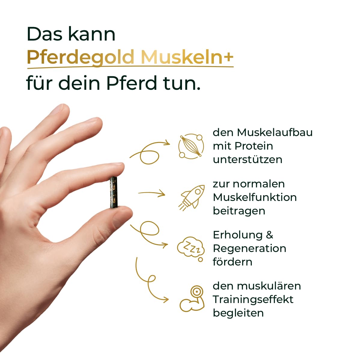 Nerven 2.0 + Muskeln+ Bundle für Pferde – Magnesium-Komplex & Omega-3 zur Stressunterstützung + Muskelaufbau Pellets mit 52% Protein & 21 Aminosäuren – Made in Germany