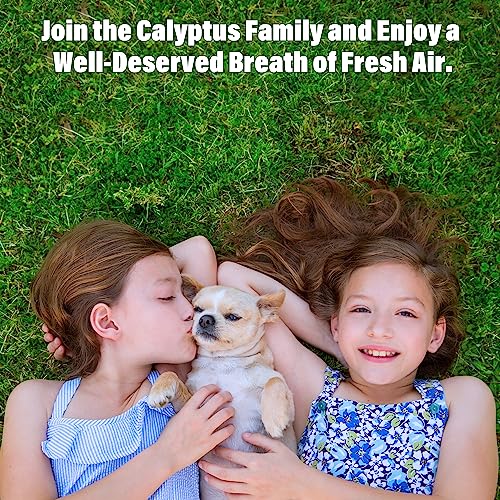 Image of Calyptus Orange Oil Concentrate | Dilutes to 16 Gallons | 85% D-Limonene | Concentrated Cold Pressed Orange Oil | Citrus Power | USA Made | 1 Quart