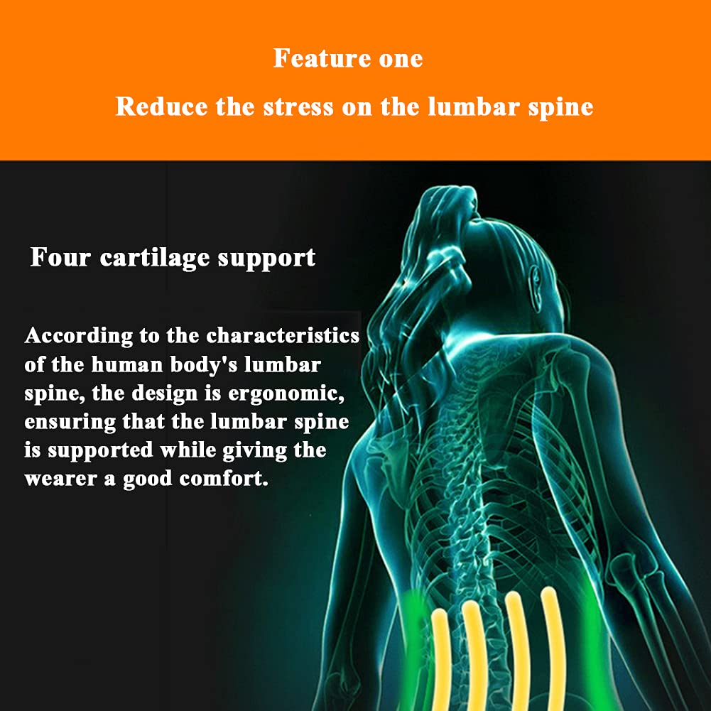 Lumbar Back Brace Correas traseras ajustables Cinturón de soporte Deporte Entrenamiento Faja Cinturón Corrector de postura, Alivio del dolor de cintura Diseño transpirable Se adapta a Hombres Mujeres