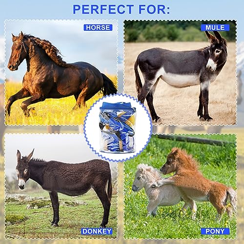 GINDOOR Kit de cuidados com 9 peças com sacola – conjunto de escovas de cavalo, raspador de suor, es
