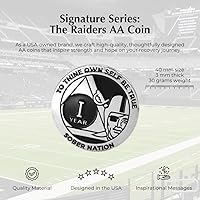 Vista 3 de MYRECOVERYSTORE Silver and Black Pirate Alcohólicos Anónimos AA Chip w/Moneda Cápsula AA Medallón Anual 1-50 años