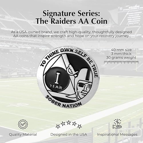 Miniatura 3 de MYRECOVERYSTORE Silver and Black Pirate Alcohólicos Anónimos AA Chip wMoneda Cápsula AA Medallón Anual 1-50 años