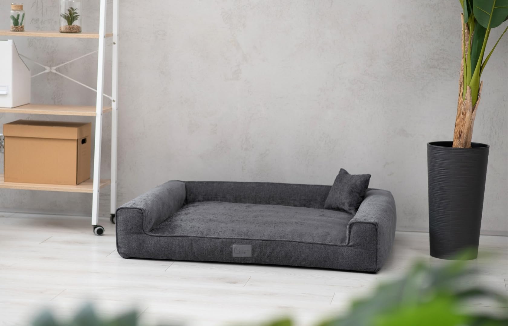 exclusiveBED Cama ortopédica Sofi para perros medianos | Elegante sofá para perros con respaldo antideslizante | Funda extraíble | Colchón de espuma viscoelástica | Tela lavable (XL, grafito)