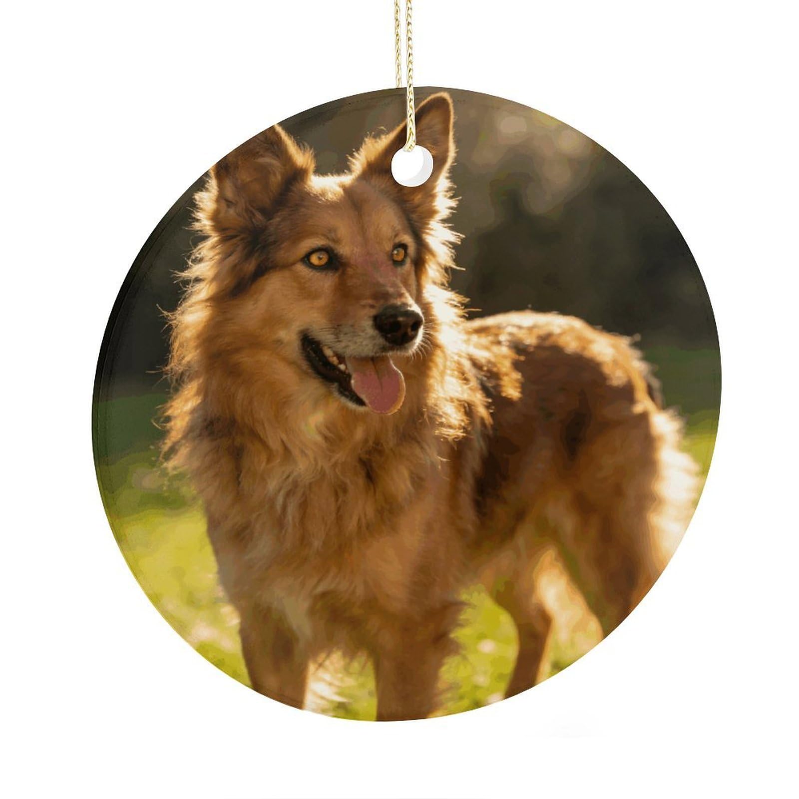 Fodpand Women's Style Dog Ceramic Christmas Ornament,Wall Hanging Decor Windows Hanging Decor Best Friend Birthday Gifts, Friendship Gifts Car Hanging Ornament Gift For Girls, Teachers 2.9 In