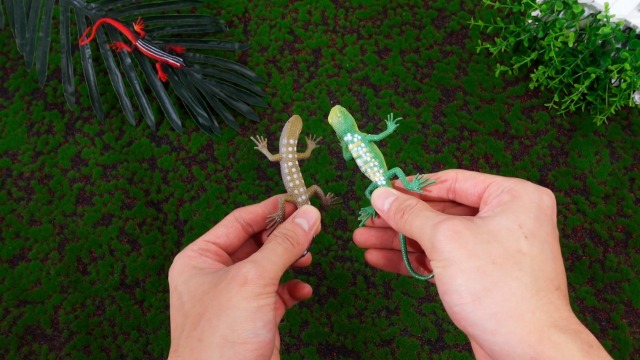 Amazon.com: Gejoy 24 Piece Plastic Lizards for Kids Colorful