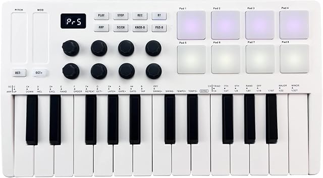 25-Key MIDI Control Keyboard Mini Portable USB Keyboard MIDI Controller with 25 Velocity Sensitive Keys 8 RGB Backlit Pads 8 Knobs,Controller