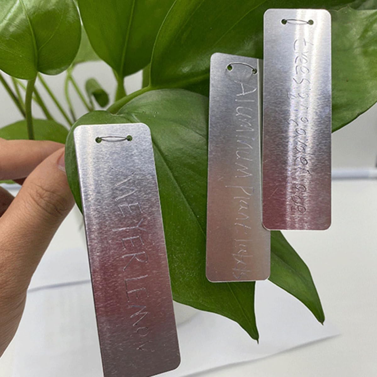 Etichette per Piante in Alluminio Argento, Cartellini da Giardino