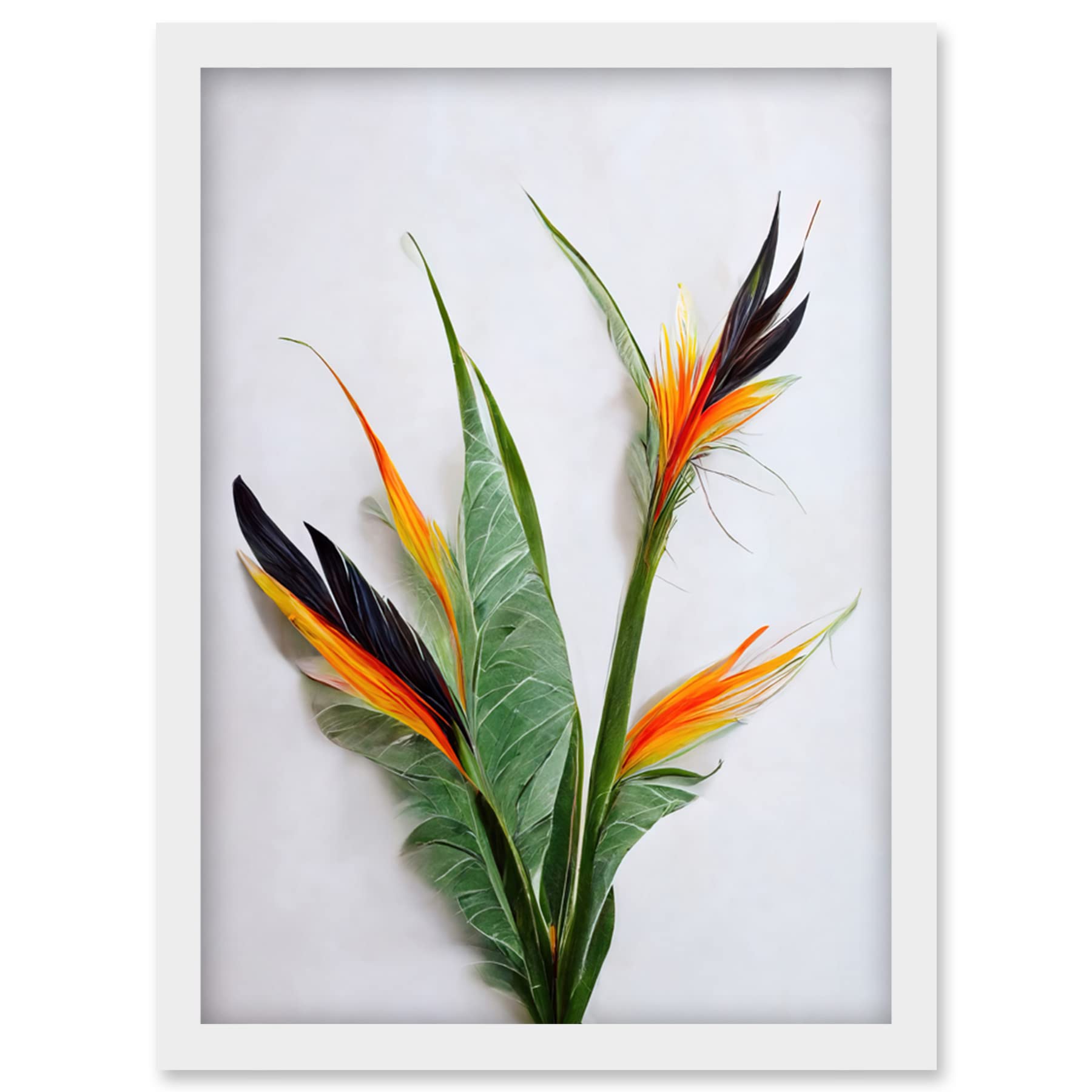Wee Blue Coo Bird of Paradise Stem Leaves and Flowers Tropical Plant Botanical Artwork Framed Wall Art Print A4
