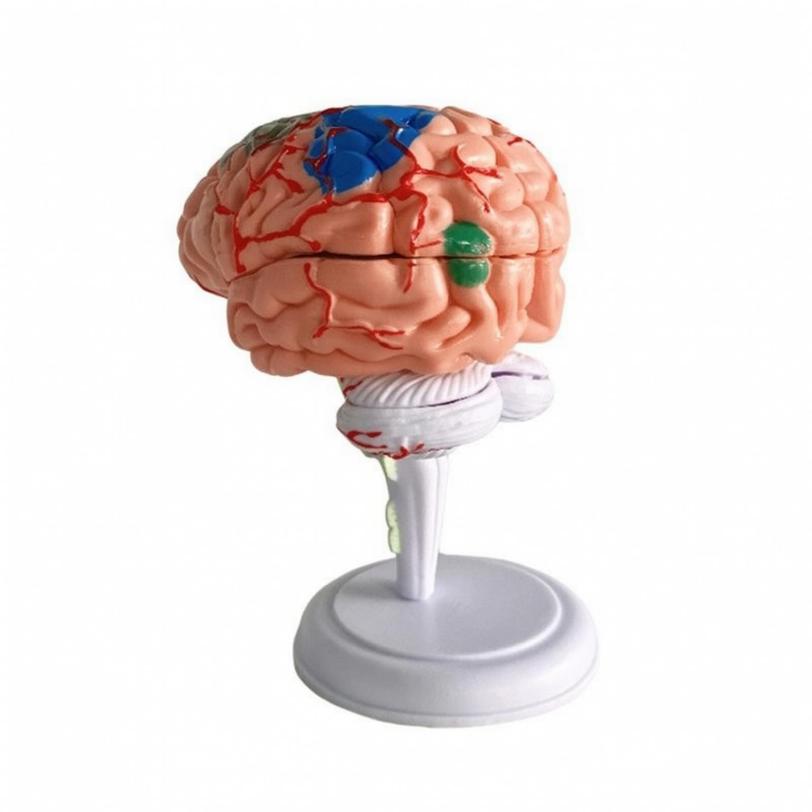 Rompecabezas en 3D Didáctico