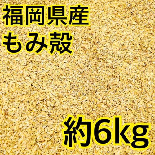 k ݊k ݂ 6kg 엿  | ƒ؉