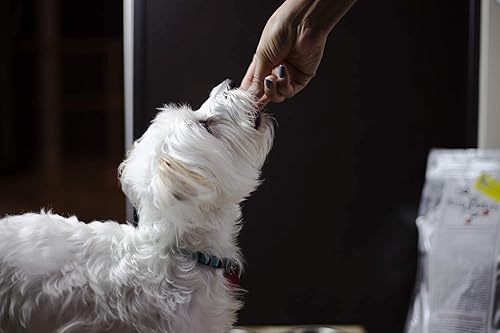 Miniatura 3 de Keto-Kibble - Alimento para perros y gatos con alto contenido de proteínas, bajo en carbohidratos, sin almidón, sin cereales - 8 libras