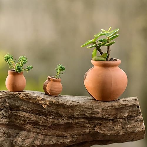 Miniatura 2 de Macetas de terracota para casa de muñecas, maceta de barro, cerámica y cuarto de bebé, macetas de cactus suculentas en miniatura para 9 uds