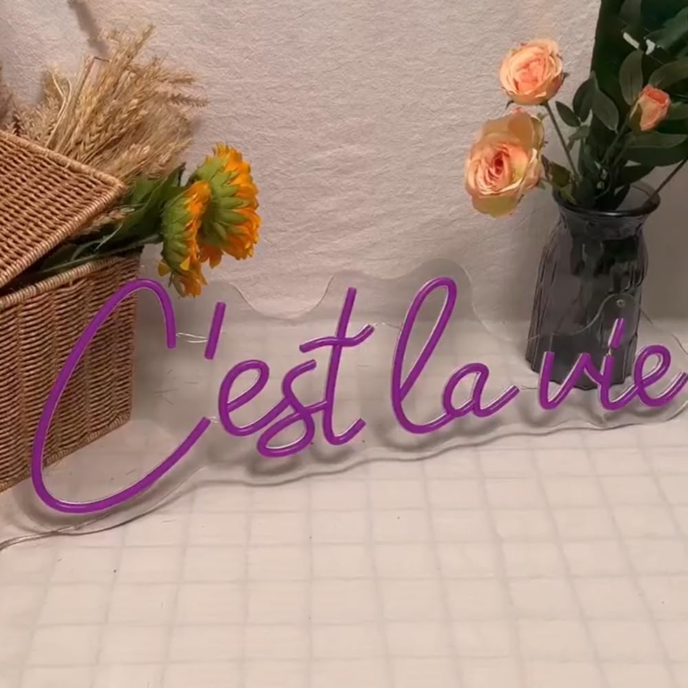 "Bonjour" "Ciao" LED Neon Sign Wall Light - USB Powered, Adjustable Brightness, 15" X 7" Decorative Lamp - View #4