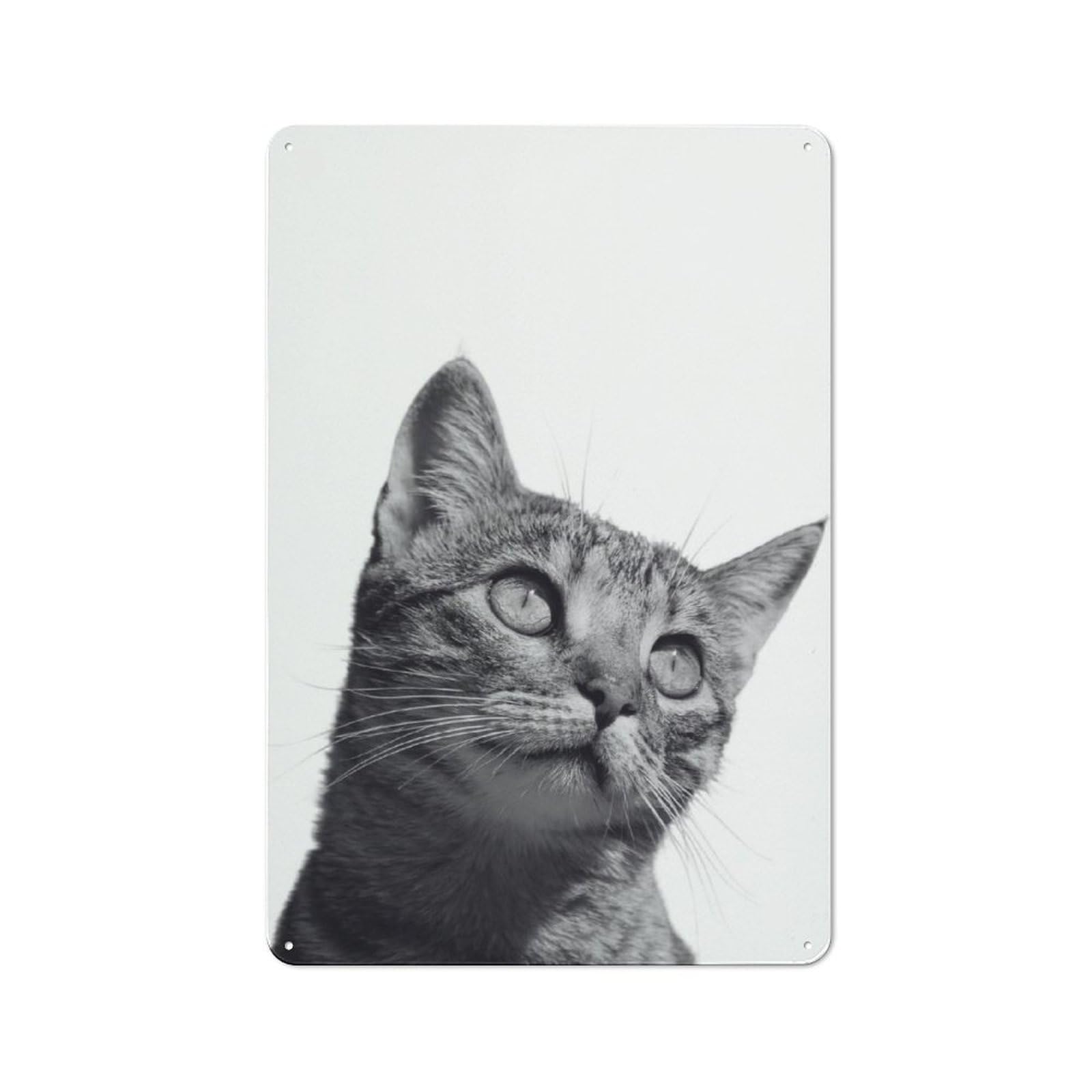Junmoney Cat Kitten Animals Retro Metal Plaque 30X20cm For Lounge Or Reading Corner, Winter Wall Decor For Reading Corner Decorators