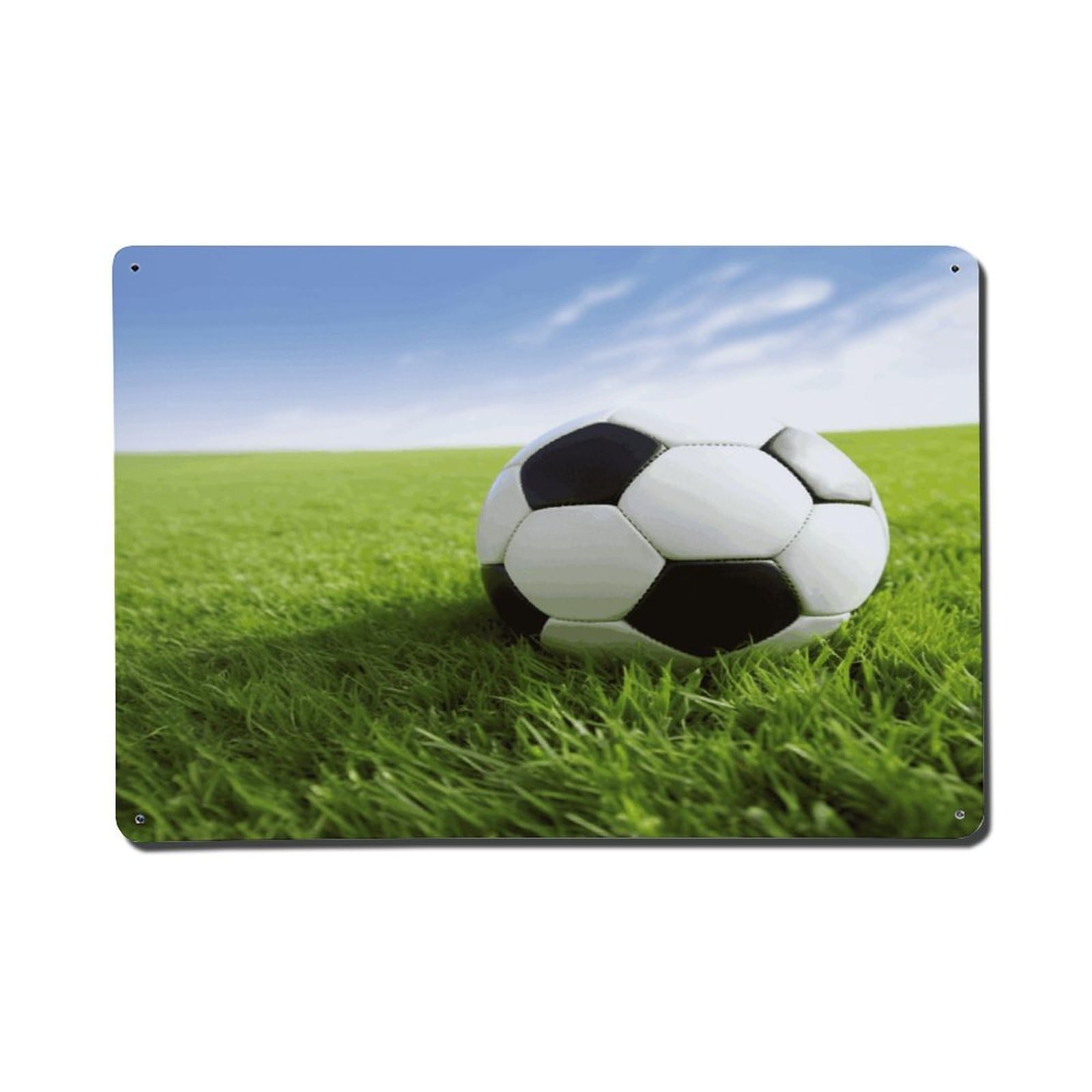 Adfgyerh Style Soccer Ball On Grassy Metal Signs Funny, Aluminum Tin Sign Indoor Outdoor Decor, Vintage Signs For Home Office Kitchen Bar Cafe Garden Farmhouse Wall Decor
