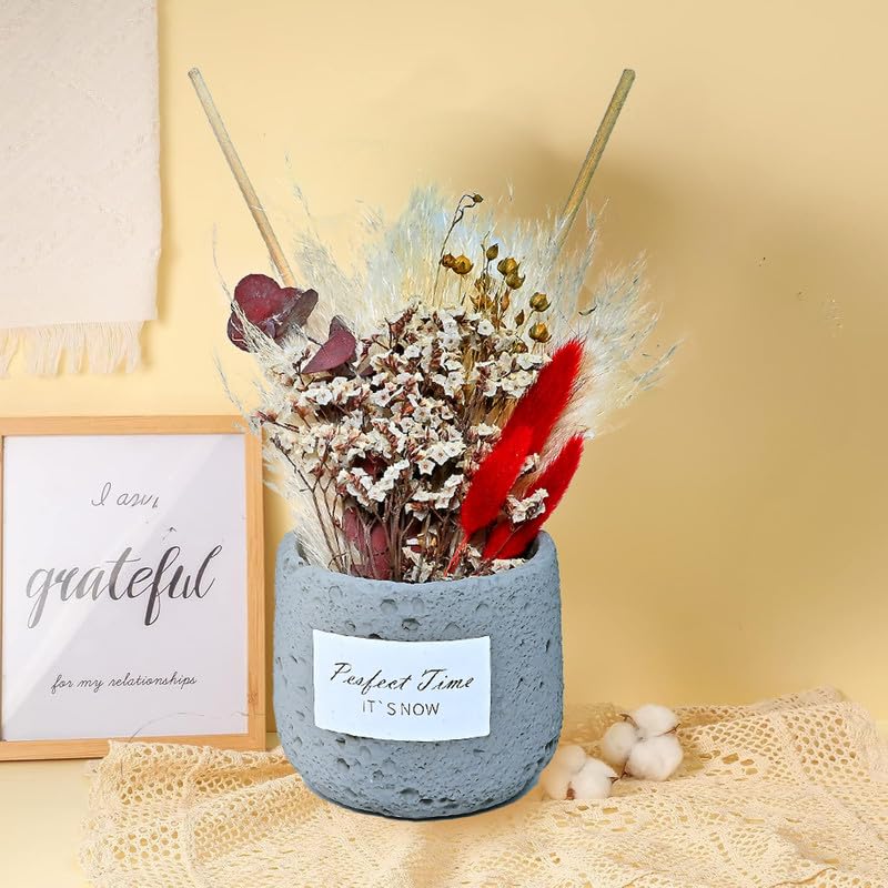 Cortina Preserved Dried Flowers for Wall Decor | Aesthetic Room Decor, Home Decor, Living Room Decor & Bedroom Decor | Great for Christmas Gifting - Red & White - 16x9x28 CM 2