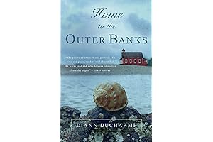 The Outer Banks House by Diann Ducharme: A Timeless Haven by the Sea