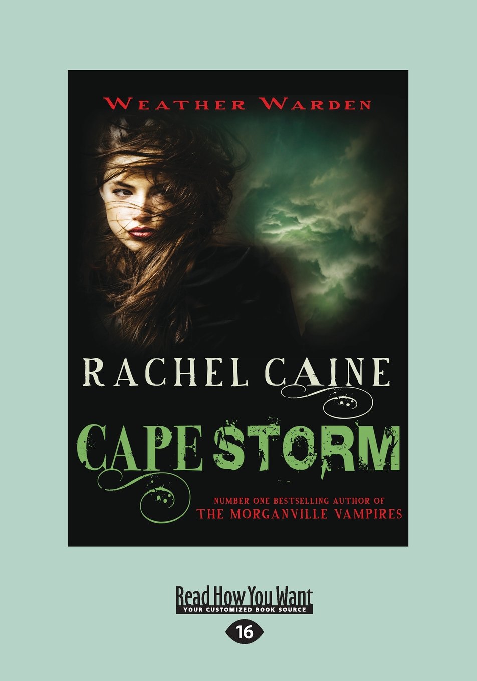 Cape Storm: Weather Warden Book Eight