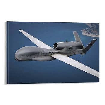 Amazon.co.jp: RQ-4 グローバルホーク 無人偵察機 飛行機 制空 Amazon.co.jp: RQ-4 グローバルホーク 無人偵察機 飛行機 制空