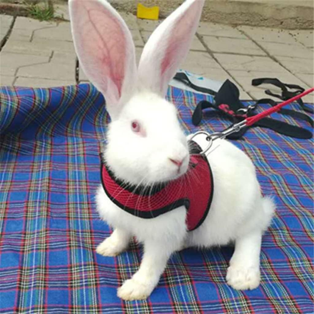 Pet Mesh Soft Harness with Leash Small Animal Vest Lead for Hamster Rabbit Bunny Small Animal Pet Accessories Belt Lead Set (C Small)