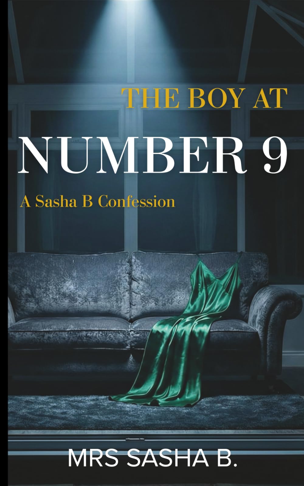 The Boy at Number 9: A Sasha B Confession (The Diaries of Sasha B)