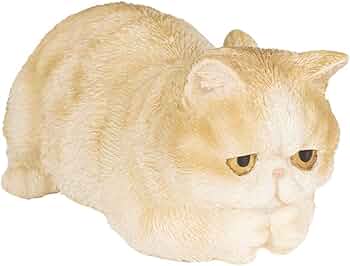 61xB75IvNCL._AC_UF350,